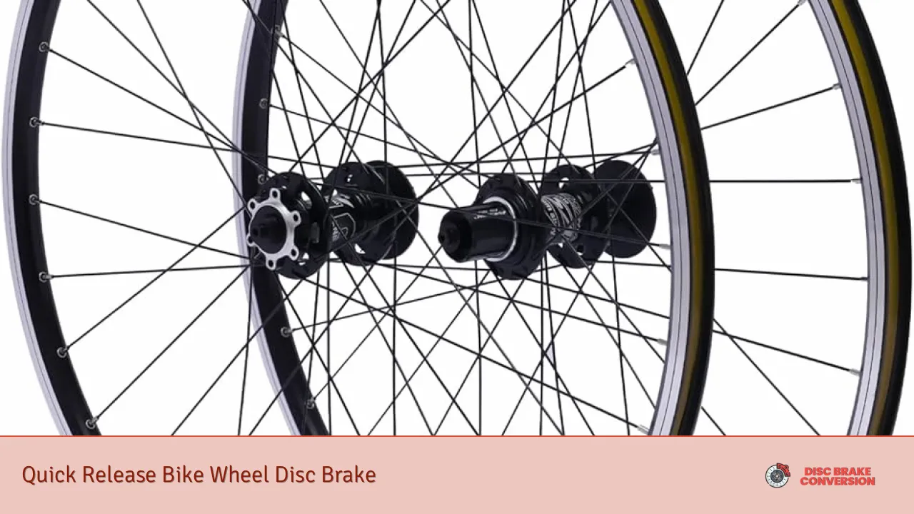 Quick Release Bike Wheel Disc Brake